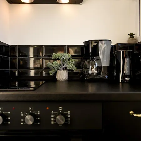 Calea Victoriei Elegance - Modern Apartment Bucharest