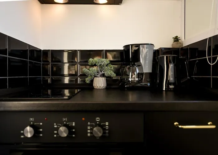 Calea Victoriei Elegance - Modern Apartament Bucureşti