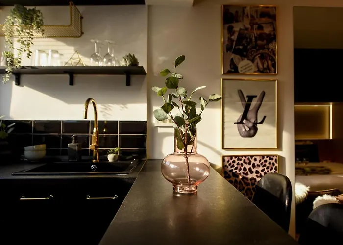 公寓 Calea Victoriei Elegance - Modern